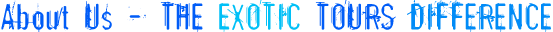 About Us