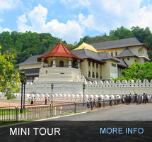Exotic Tours Sri Lanka