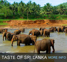 Exotic Tours Sri Lanka