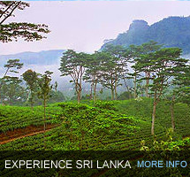Exotic Tours Sri Lanka