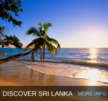 Exotic Tours Sri Lanka
