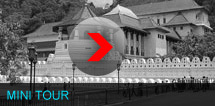 Exotic Tours Sri Lanka