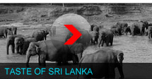 Exotic Tours Sri Lanka