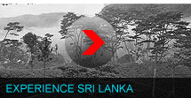 Exotic Tours Sri Lanka