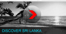 Exotic Tours Sri Lanka