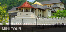 Exotic Tours Sri Lanka