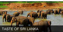 Exotic Tours Sri Lanka