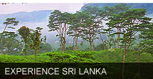 Exotic Tours Sri Lanka