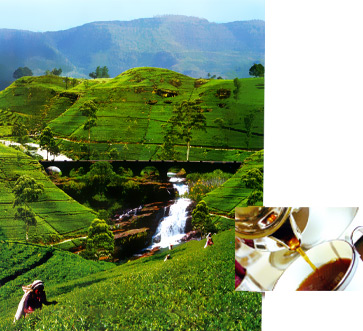 Sri Lanka Tourisum