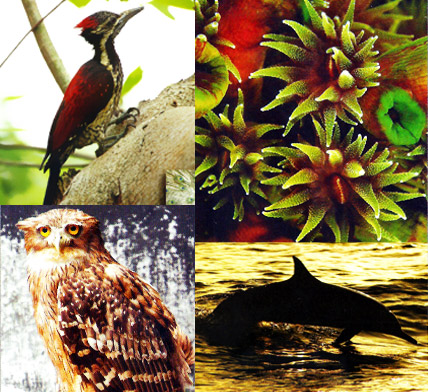 Sri Lanka